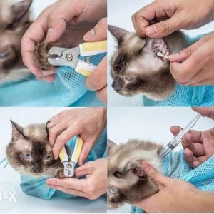 Cat grooming bag – Taška na strihanie mačiek 03