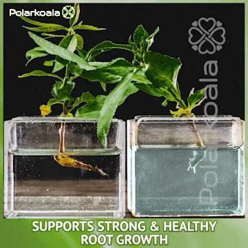 Planttpro – Tekuté hnojivo pre rastliny 02