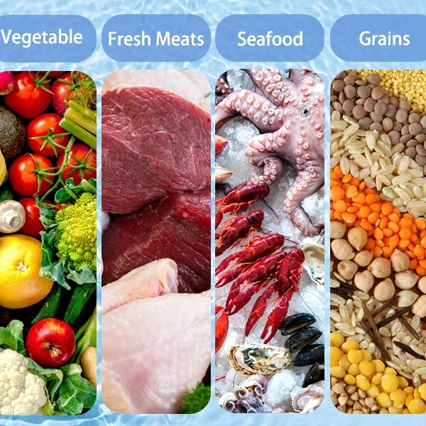 Zariadenie na umývanie ovocia a zeleniny – FOOD PURIFIER 02